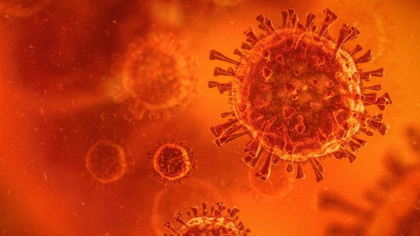 Danemarca a depistat primul caz de infectare cu noua tulpina de coronavirus din Africa de Sud Danemarca a depistat primul caz de infectare cu noua tulpina de coronavirus din Africa de Sud