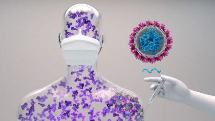 Studiile arata ca persoanele vaccinate anti-COVID sunt protejate impotriva noilor tulpini ale virusului