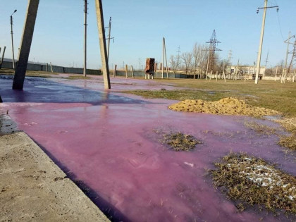 Caz ciudat la Comrat. Apa intr-un rau - de culoare purpurie - GALERIE FOTO Caz ciudat la Comrat. Apa intr-un rau - de culoare purpurie - GALERIE FOTO