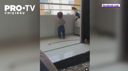 O pisica a salvat de la moarte un copil care era la un pas sa cada de la inaltime - VIDEO