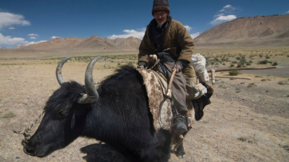 Presedintele din Tadjikistan anunta ca "nu mai exista coronavirus" in tara sa Presedintele din Tadjikistan anunta ca "nu mai exista coronavirus" in tara sa