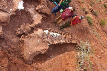 In Argentina a fost descoperit cel mai mare dinozaur gasit vreodata
