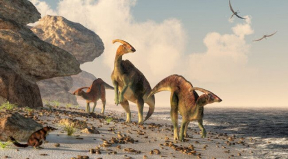 O fetita de patru ani din Regatul Unit a descoperit o urma de dinozaur pe plaja. Cum arata. FOTO O fetita de patru ani din Regatul Unit a descoperit o urma de dinozaur pe plaja. Cum arata. FOTO