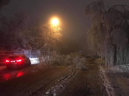 Poleiul si chiciura isi dau de stire. Mai multi copaci din capitala - doborati, iar unele crengi stau sa cada peste firele electrice - GALERIE FOTO
