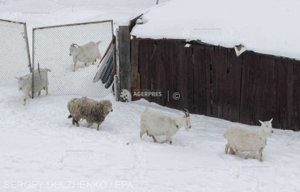 Un ucrainean a semnalat un omor fictiv cu speranta ca fortele de ordine ii vor curata drumul acoperit de zapada venind sa-l aresteze