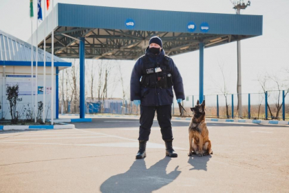 Bilantul saptamanii. Peste 90 mii de traversari ale frontierei. 41 de cetateni straini au primit refuz de intrare in Republica Moldova