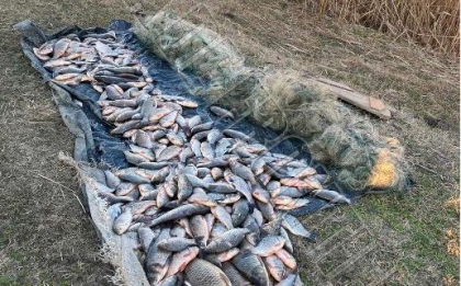 Doi moldoveni, prinsi cu o caruta plina de peste in zona de frontiera. Acum ei risca amenda Doi moldoveni, prinsi cu o caruta plina de peste in zona de frontiera. Acum ei risca amenda
