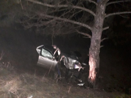 Accident la Singerei. Un automobil s-a lovit intr-un copac, dupa ce a derapat de pe sosea. Doua persoane - la spital - FOTO Accident la Singerei. Un automobil s-a lovit intr-un copac, dupa ce a derapat de pe sosea. Doua persoane - la spital - FOTO