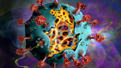 Pandemia de coronavirus era cat pe ce sa nu se petreaca, arata datele unui nou studiu. Cum s-a raspandit virusul la nivel global Pandemia de coronavirus era cat pe ce sa nu se petreaca, arata datele unui nou studiu. Cum s-a raspandit virusul la nivel global