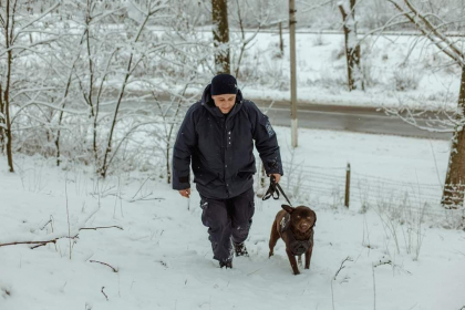 Situatia la frontiera. Peste 9 mii de traversari in ultimele 24 de ore. Incalcarile depistate de politisti Situatia la frontiera. Peste 9 mii de traversari in ultimele 24 de ore. Incalcarile depistate de politisti