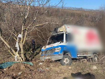 Un camion al unei fabrici avicole din tara a derapat de pe sosea intr-un sant, iar produsele pe care le transporta s-au imprastiat pe drum
