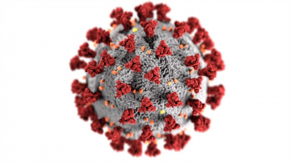 Ultima ora. Cate cazuri noi de coronavirus au fost inregistrate astazi in Moldova Ultima ora. Cate cazuri noi de coronavirus au fost inregistrate astazi in Moldova