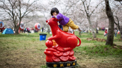 Scade numarul copiilor nascuti in China. Ultimele statistici arata cea mai mica rata a nasterilor din ultimii 70 de ani Scade numarul copiilor nascuti in China. Ultimele statistici arata cea mai mica rata a nasterilor din ultimii 70 de ani