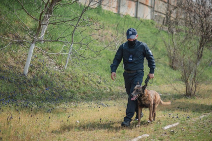 Bilantul saptamanii. Mai multi cetateni straini au incalcat regimul de sedere. Ce alte incalcari au depistat politistii de frontiera