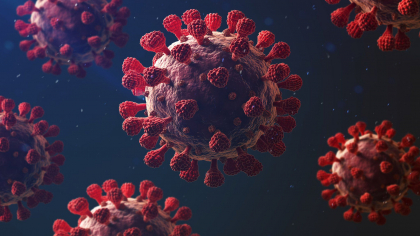 Cate cazuri de coronavirus si decese s-au inregistrat astazi in Moldova