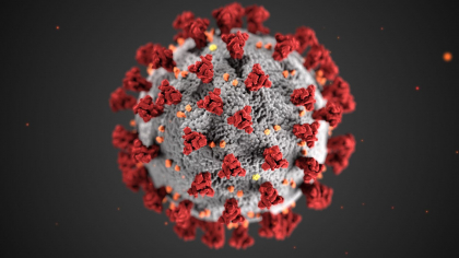 Cate cazuri de coronavirus si decese s-au inregistrat astazi, in Moldova