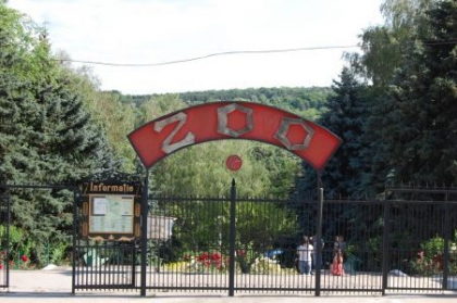 Angajatul de la Gradina Zoologica, care a fost atacat si muscat de un tigru, a decedat la spital