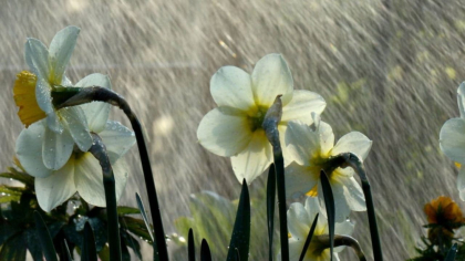 Cer noros si precipitatii in nordul tarii. Cum va fi vremea in urmatoarele zile. Prognoza meteo - FOTO