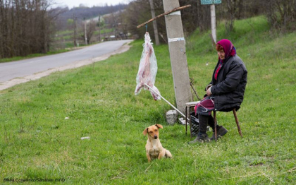„Astept vaccin de la badea Putin” - Sanatateinfo.md