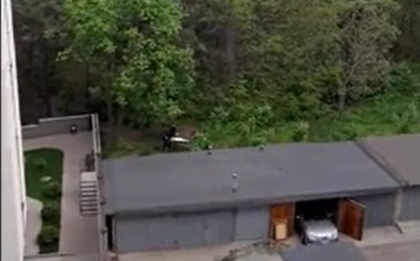 Descoperire macabra intr-o padure din capitala. Cum a fost gasit cadavrul unui tanar. Momentul in care politistii scot pe targa trupul neinsufletit - VIDEO 