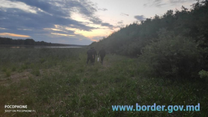 Un barbat din Briceni a incercat sa traverseze frontiera ilegal, prin tufisuri. Acesta se afla in cautare pentru furt in proportii mari Un barbat din Briceni a incercat sa traverseze frontiera ilegal, prin tufisuri. Acesta se afla in cautare pentru furt in proportii mari