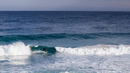 Surfer din Australia atacat de un rechin intr-o zona considerata sigura pentru turisti Surfer din Australia atacat de un rechin intr-o zona considerata sigura pentru turisti