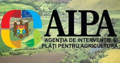 AIPA anunta ca va colabora cu CNA. Precizarile institutiei, dupa ce oamenii legii au efectuat perchezitii