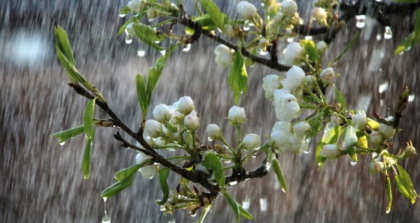 Ploi in toata tara. Ce temperaturi anunta meteorologii in urmatoarele zile - FOTO Ploi in toata tara. Ce temperaturi anunta meteorologii in urmatoarele zile - FOTO