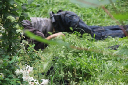 Cadavrul unui barbat a fost gasit intr-o fasie forestiera din capitala. Politia cere ajutorul cetatenilor 