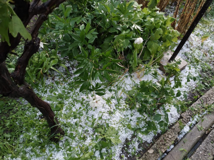 Cum grindina a afectat mai multe gospodarii ale oamenilor - FOTO Cum grindina a afectat mai multe gospodarii ale oamenilor - FOTO