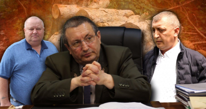 VIDEO/ Hotii de paduri (III). Implicarea socialistilor in silvicultura si o inregistrare cu directorul Moldsilva: „Cum pe voi de aparat, daca voi ati recunoscut totul?”