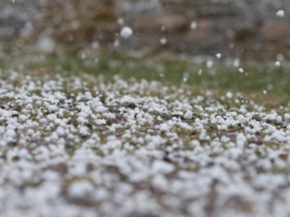 Ploile torentiale au facut prapad in mai multe raioane din tara. A turnat cu galeata, iar culturile agricole au fost afectate 