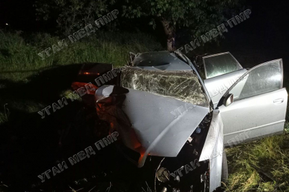  Patru persoane - transportate in stare grava la spital, dupa ce masina in care se aflau a intrat intr-un copac, la Tiraspol. Soferul era beat - FOTO