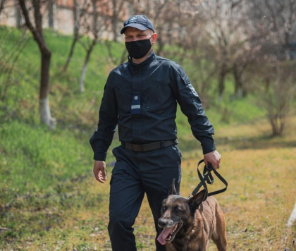 Cainele politist a depistat hotul in jumatate de ora. Un barbat - retinut pentru ca a furat dintr-o casa din Nisporeni