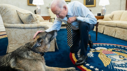 Unul din cainii lui Joe Biden, Champ, a murit: „Imi va lipsi” Unul din cainii lui Joe Biden, Champ, a murit: „Imi va lipsi”