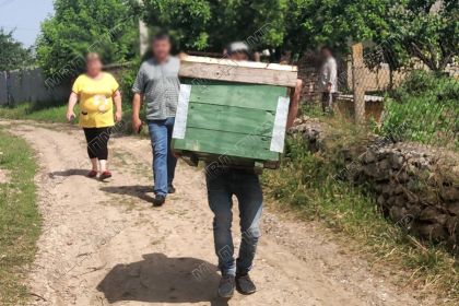 Un barbat - retinut dupa ce a furat un stup de albini. Ce declaratii face faptasul Un barbat - retinut dupa ce a furat un stup de albini. Ce declaratii face faptasul