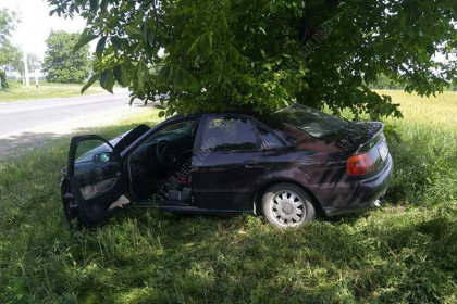 Un barbat de 41 de ani a urcat beat la volan si a provocat un accident la Dubasari. Ce risca acesta - FOTO Un barbat de 41 de ani a urcat beat la volan si a provocat un accident la Dubasari. Ce risca acesta - FOTO