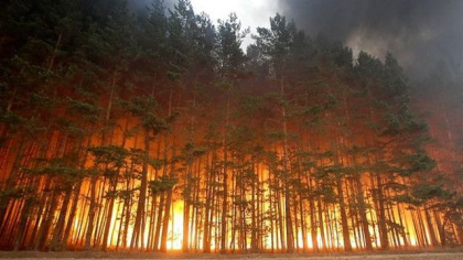 Temperaturile record provoaca incendii uriase in Siberia - VIDEO Temperaturile record provoaca incendii uriase in Siberia - VIDEO