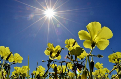Prognoza meteo. Cum va fi vremea astazi, dar si in zilele urmatoare - FOTO

