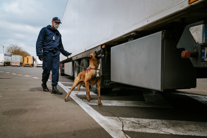 Situatia la frontiera. Peste 32 mii de traversari in ultimele 24 de ore. Incalcarile depistate de politisti Situatia la frontiera. Peste 32 mii de traversari in ultimele 24 de ore. Incalcarile depistate de politisti