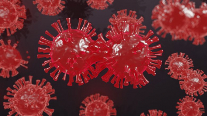 Tulpina Lambda. Ce se stie despre cea mai noua varianta de coronavirus identificata de OMS Tulpina Lambda. Ce se stie despre cea mai noua varianta de coronavirus identificata de OMS