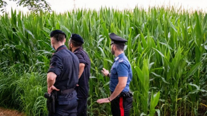 Doua tinere ucise in lanul de porumb, strivite de o combina agricola. Una din ele a apucat sa sune la 112