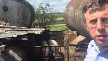 Dorin Chirtoaca s-a filmat langa porci si vorbeste despre Igor Dodon: "Acesta este Vasilica, Bolica mai este unul Nichitca" - VIDEO 