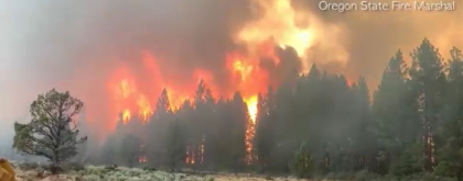 Temperaturi record in lume. Apa aruncata din aeronave sa stinga incendiile din SUA se evapora pana la sol