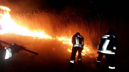 Consecintele caniculei. Zeci de hectare de vegetatie uscata - cuprinse de flacari. Salvatorii au stins peste 20 de incendii - FOTO