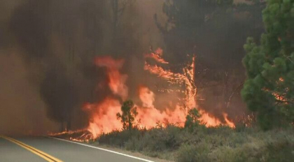 Incendii de vegetatie grave in California. Suprafata arsa e dubla fata de anul trecut
Incendii de vegetatie grave in California. Suprafata arsa e dubla fata de anul trecut