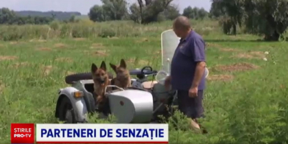 Un ucrainean a devenit celebru in urma unui video postat pe internet. Cum isi plimba cainii - VIDEO Un ucrainean a devenit celebru in urma unui video postat pe internet. Cum isi plimba cainii - VIDEO