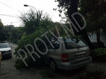 Vantul face ravagii in Chisinau. O creanga uriasa s-a prabusit peste o masina - FOTO/VIDEO Vantul face ravagii in Chisinau. O creanga uriasa s-a prabusit peste o masina - FOTO/VIDEO