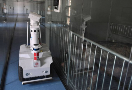 In China au aparut hotelurile pentru porci. Motivul pentru care suinele sunt tinute in conditii de lux la etajul 13 In China au aparut hotelurile pentru porci. Motivul pentru care suinele sunt tinute in conditii de lux la etajul 13