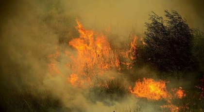 Tragedie in Bulgaria. Doi oameni au murit intr-un incendiu forestier Tragedie in Bulgaria. Doi oameni au murit intr-un incendiu forestier